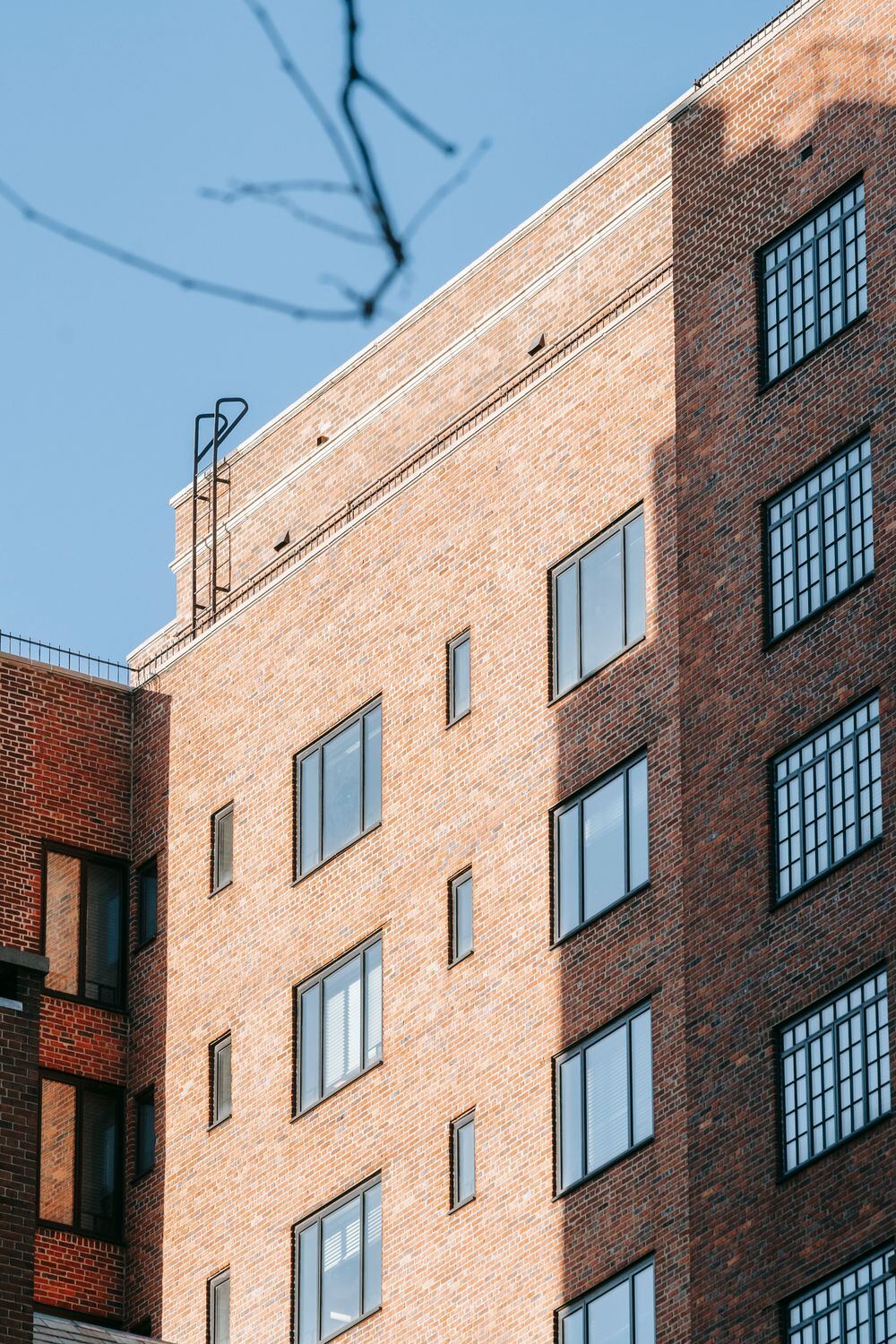 Goodwill Row, completed 2019
