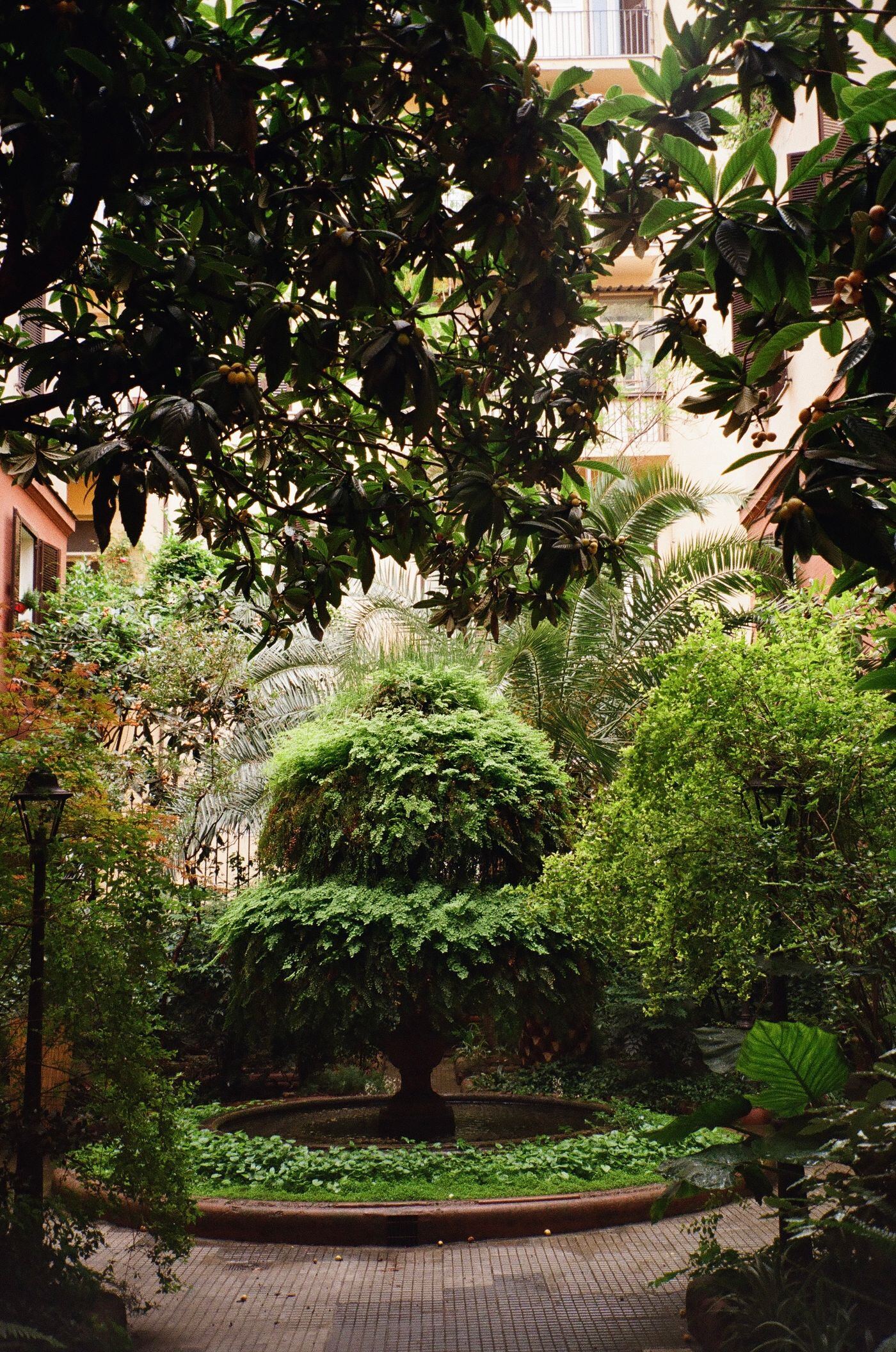 A Japanese-style garden